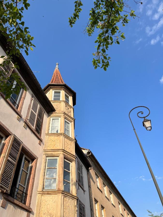 Le Baumann Concept: Appartement De Charme Dans Un Monument Historique Colmar Exteriör bild